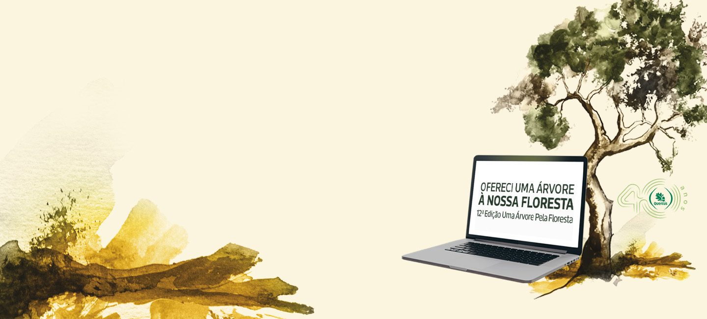 Imagens sobre  um fundo claro com elementos visuais em estilo artístico, árvores pintadas em aquarela. Computador portátil aberto escrito ofereci uma árvore à nossa floresta.